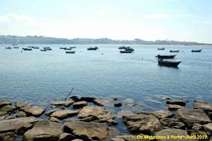0800 - De Matosinhos a Porto